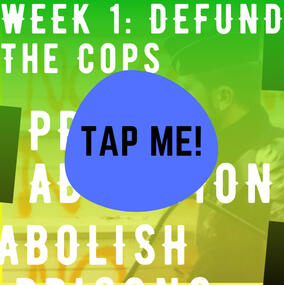 Week 1: Police Divestment and Abolition